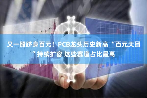 又一股跻身百元!PCB龙头历史新高 “百元天团”持续扩容 这些赛道占比最高